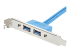 StarTech.com 2 Port USB 3.0 A Female Slot Plate Adapter - Närbild